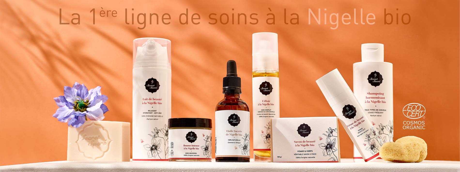 Nigelle  Ingrédients naturels actifs